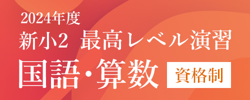 新小2最高レベル演習