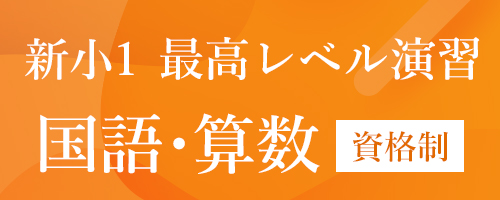新小1最高レベル演習